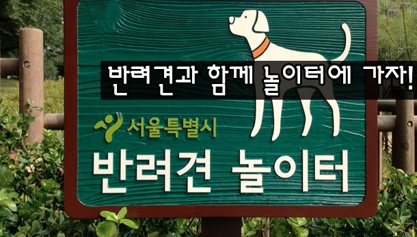 트래블맵서울여행 서울시, 서남권역 첫 반려견 놀이터 보라매공원에 설치