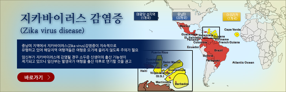 [트래블맵해외여행] 질병관리본부, 임신부 중남미 여행 연기 권고