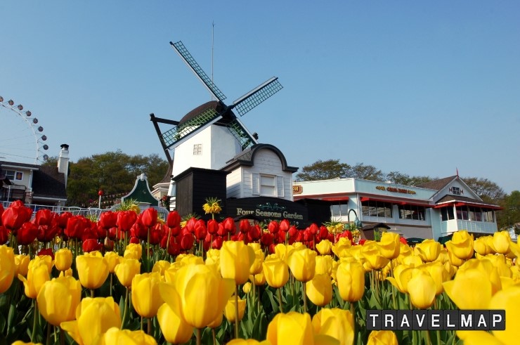 [트래블맵테마파크] 에버랜드, 본격적인 봄을 알리는 튤립 축제 17일 오픈