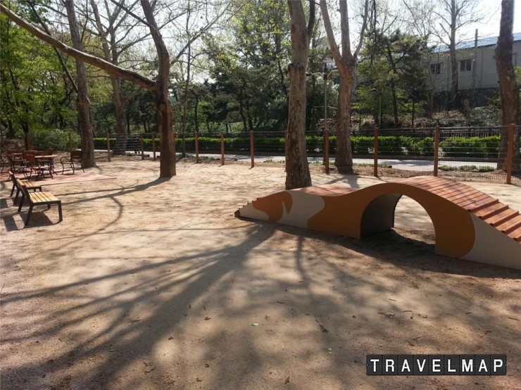 [트래블맵서울여행] 서울시, 반려견 놀이터 보라매공원에 개장