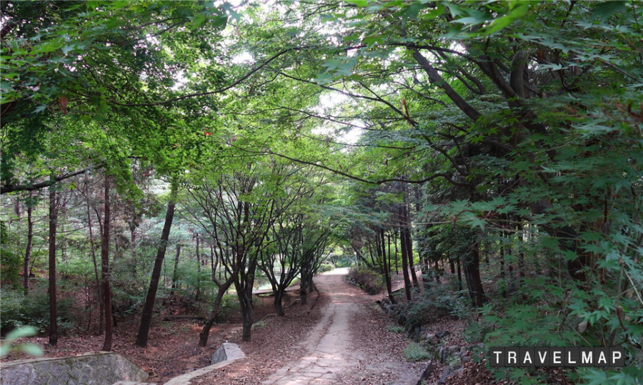 [트래블맵인천여행] 인천대공원, 편백숲 산림치유 프로그램 운영