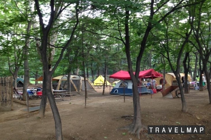 [트래블맵서울여행] 서울시, 서울숲, 양재시민의숲 등 올여름엔 가까운 공원으로 캠핑가자!