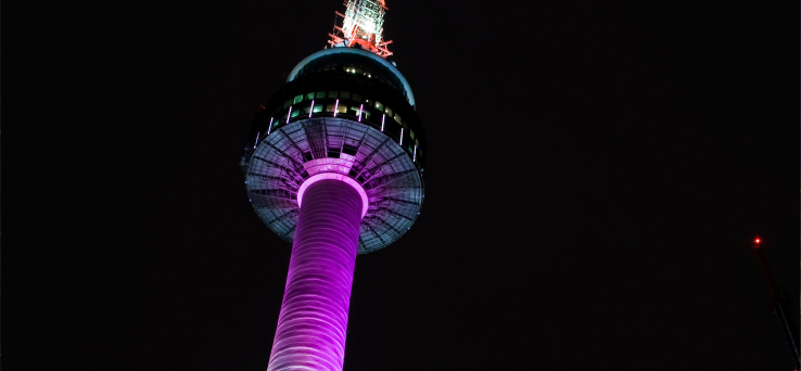 2943722025_rzkACLsw_visual_tower_1.jpg