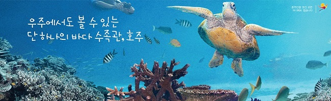 1846320595_1eaKDrp4_ta_970x300_a.jpg